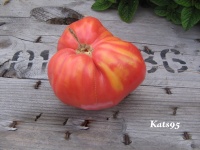 Tomate strawberry wedge 1884-1.jpg