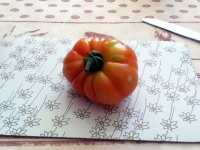 Tomate triomphe de liege-1.jpg