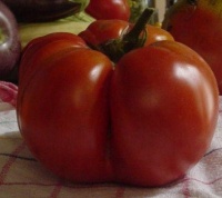 Tomate tsar s favorite-1.jpg