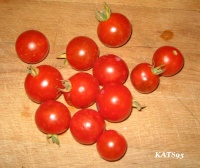 Tomate velvet red.jpg