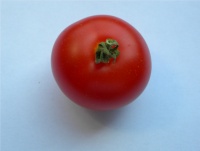 Tomate victory.jpg
