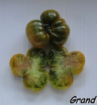 Tomate walthrup green-1.jpg