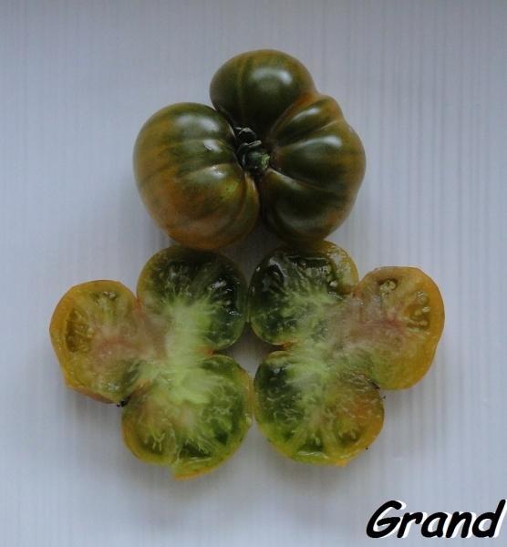 Fichier:Tomate walthrup green-1.jpg