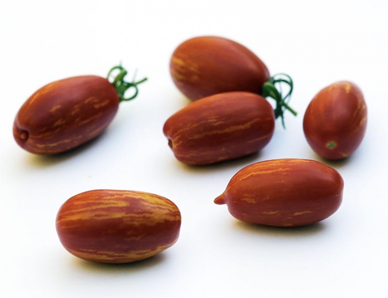 Fichier:Trunnel Stake-1.jpg