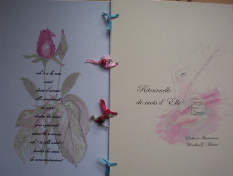 Fichier:Une Rose rose-2.jpg