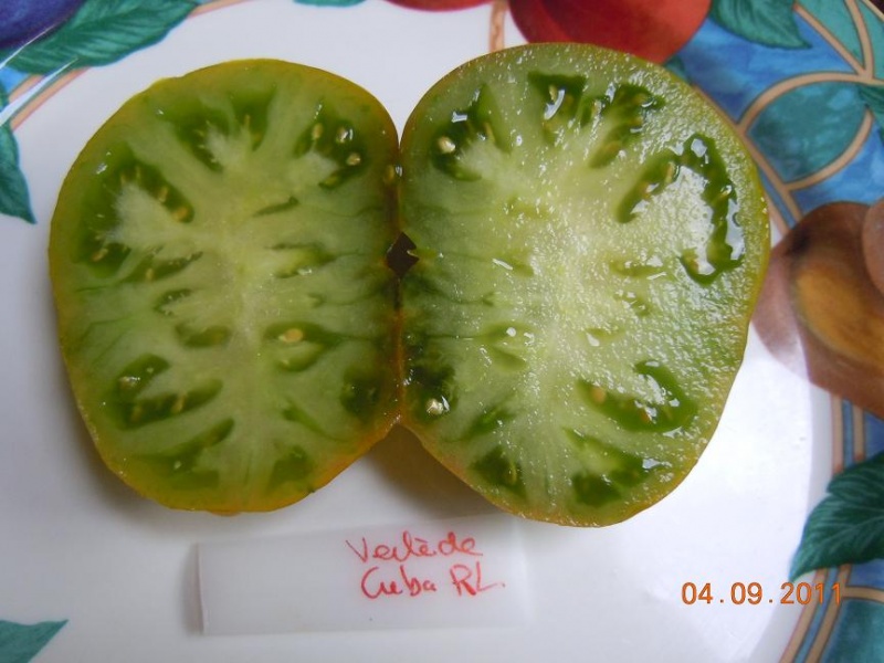 Fichier:Verte de Cuba-2.jpg