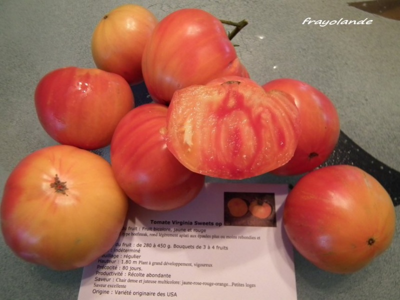 Fichier:Virginia sweets op.jpg